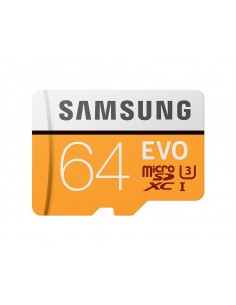 Samsung EVO 64 GB microSDXC UHS-1 minnekort